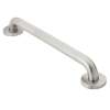 42in x 1-1/4in Grab Bar in Peened