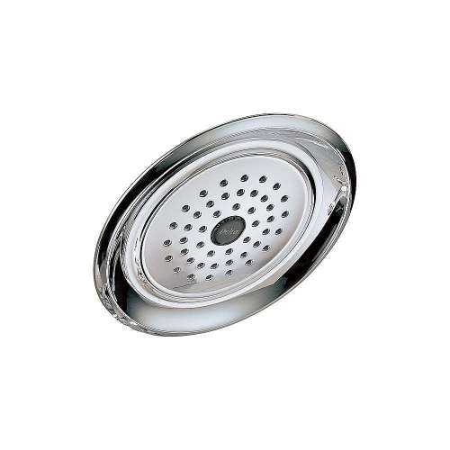 Raincan Single-Setting Shower Head