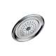 RP48686 Raincan Single-Setting Shower Head in Polished Chrome