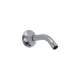 Shower Arm and Flange in Brilliance Polished Nickel