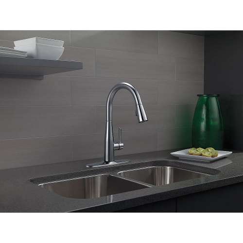 Single Handle Pull-Down Kitchen Faucet in Arctic Stainless Finish