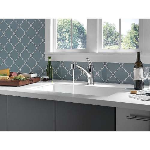 Single Handle Pull-Out Kitchen Faucet in Chrome Finish
