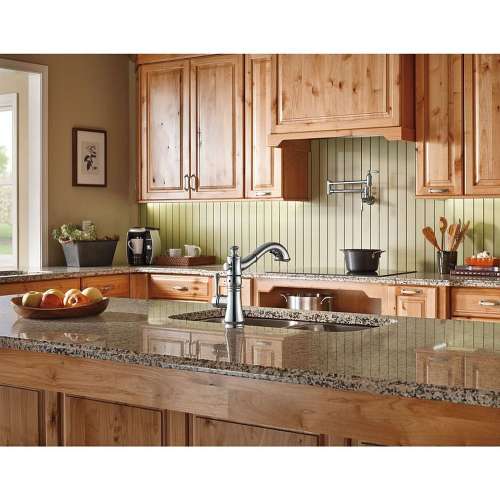 Wall Mount Pot Filler Faucet - in Arctic Stainless