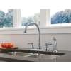 Two Handle Kitchen Faucet with Spray in Arctic Stainless
