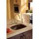 Two Handle Kitchen Faucet with Spray in Champagne Bronze