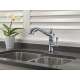 4197-AR-DST Cassidy Single Handle Pull-Out Kitchen Faucet in Arctic Stainless