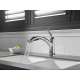 Single Handle Water Efficient Pull-Out Kitchen Faucet in Polished Chrome