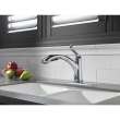 Single Handle Water Efficient Pull-Out Kitchen Faucet in Polished Chrome
