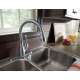 Leland 9178-AR-DST Single Handle Pull-Down Kitchen Faucet in Arctic Stainless