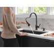 19831Z-BLSD-DST Hazelwood Single Handle Pull Down Kitchen Faucet with Soap Dispenser and ShieldSpray Technology