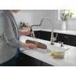 19835TZ-SPSD-DST Auburn Single Handle Pull Down Kitchen Faucet with Soap Dispenser and Touch2O Technology, Spotshield Stainless