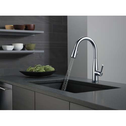 9113TV-AR-DST Essa VoiceIQ Single Handle Pull Down Faucet with Touch2O Technology, Arctic Stainless