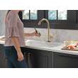 9182T-CZ-PR-DST Emmeline Single Handle Pull Down Kitchen Faucet with Touch2O Technology, Lumicoat Champagne Bronze