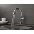 9197-AR-PR-DST Cassidy Single Handle Pull Down Kitchen Faucet, Lumicoat Arctic Stainless