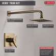 T17253-CZ-WE Vero Monitor 17 Series Shower Trim