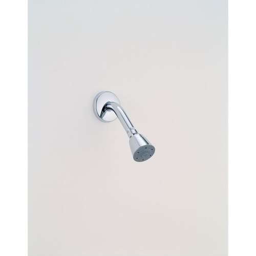 Push-Clean Shower Head in Polished Chrome