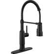 18804Z-BL-DST Theodora 11.94-in x 10.75-in x 20.25-in Single-Handle Pull-Down Spring Kitchen Faucet, Matte Black