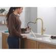 19867LF-CZ Nicoli 11.06-in x 10.75-in x 17.06-in Single-Handle Pull-Down Kitchen Faucet, Champagne Bronze