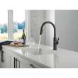 19867LF-GZ Nicoli 11.06-in x 10.75-in x 17.06-in Single-Handle Pull-Down Kitchen Faucet, Matte Black and Champagne Bronze