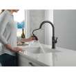 19867LF-GZ Nicoli 11.06-in x 10.75-in x 17.06-in Single-Handle Pull-Down Kitchen Faucet, Matte Black and Champagne Bronze