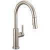 19867LF-SS Nicoli 11.06-in x 10.75-in x 17.06-in Single-Handle Pull-Down Kitchen Faucet, Stainless
