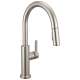 19867LF-SS Nicoli 11.06-in x 10.75-in x 17.06-in Single-Handle Pull-Down Kitchen Faucet, Stainless