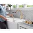 9178TLV-CZ-DST Leland 11.63-in x 10.75-in x 15.38-in VoiceIQ Kitchen Faucet with Touch2O with Touchless Technology, Champagne Bronze