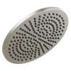 52158-SS25 Universal Showering Components Single-Setting Metal Raincan Shower Head, Stainless
