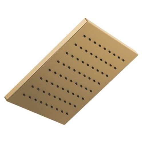 52159-CZ Universal Showering Components Single-Setting Metal Raincan Shower Head, Champagne Bronze