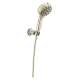 55884-PN-PR Universal Showering Components 7-Setting Wall Mount Hand Shower with Cleaning Spray, Lumicoat Polished Nickel