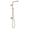 58820-CZ-PR Universal Showering Components Emerge 26" Round Shower Column, Lumicoat Champagne Bronze