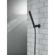 RP73384BL Trinsic Single-Setting Hand Shower, Matte Black