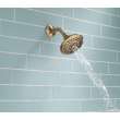 RP78575CZ Universal Showering Components 5-Setting Raincan Shower Head, Champagne Bronze