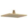 RP91363CZPR Vero Shower Head, Lumicoat Champagne Bronze