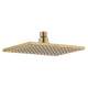 RP91363CZPR Vero Shower Head, Lumicoat Champagne Bronze