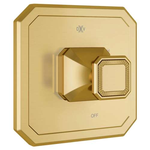 Belshire® Single Handle Pressure Balance Valve Trim Only with Cushion Handle, D35170540.427, D35170540.427