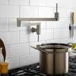 Contemporary Kitchen Pot Filler, D35401900.355, D35401900.355