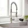Culinary Kitchen Faucet, in Ultra Steel
