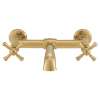 Wall Mount Bathroom Faucet with Cross Handles, in Satin Brass