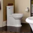 D22000C101.415 St. George One-Piece Elongated Toilet, in Canvas White