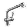Pull-Out Kitchen Faucet, in Ultra Steel
