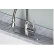 Pursuit Laundry/Utility Faucet With Flexible Spout Forward Only Lever Handle Chrome, LK2500CR