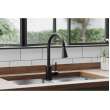 Avado Single Hole Kitchen Faucet With Pull-Down Spray And Forward Only Lever Handle Black Stainless, LKAV3031BK