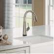 Avado Single Hole 2-In-1 Kitchen Faucet With Filtered Drinking Water Chrome, LKAV7051FCR