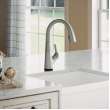 Avado Single Hole 2-In-1 Kitchen Faucet With Filtered Drinking Water Lustrous Steel, LKAV7051FLS