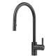 Franke Eos Neo 17-In Single Handle Pull-Down Kitchen Faucet In Industrial Black, Eos-Pd-Ibk