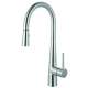 Franke Steel 16.7-In Single Handle Pull-Down Kitchen Faucet In Stainless Steel, Stl-Pr-304