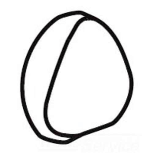 Plastic Handles in Bone