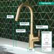 Hansgrohe Talis S² Higharc Kitchen Faucet, 1-Spray Pull-Down, 1.75 Gpm In Brushed Gold Optic, 14872251