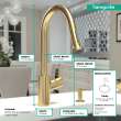 Hansgrohe Talis S² Higharc Kitchen Faucet, 2-Spray Pull-Down, 1.75 Gpm In Brushed Gold Optic, 14877251